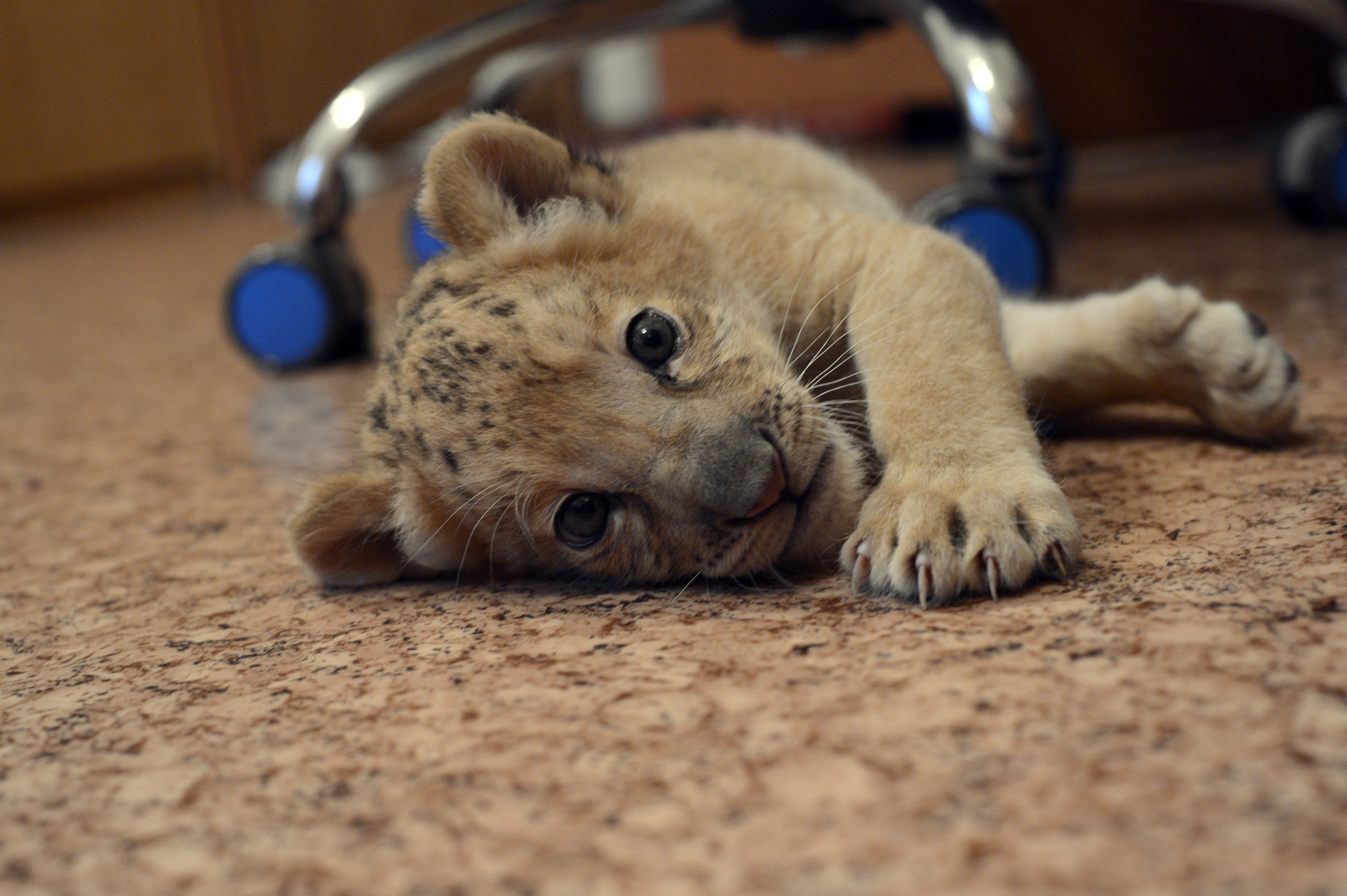Η ημέρα σε φωτογραφίες (20 Σεπτεμβρίου 2012)